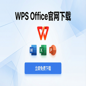 WPS Office数字金融